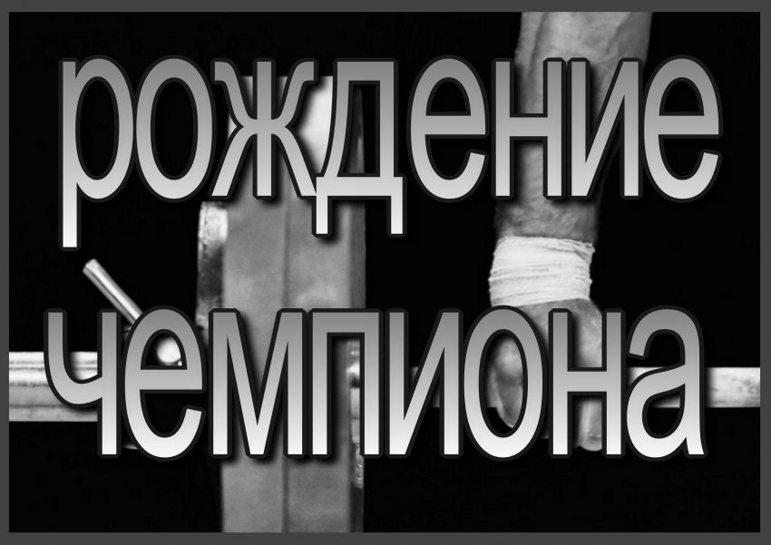 совет по питанию план и протоколы заседаний