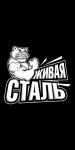 сталь.jpg
