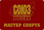 Мастер спорт.jpg